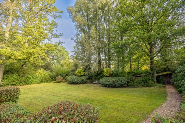 SCHIJNPARKLAAN 49 TE SCHOTEN afbeelding 3