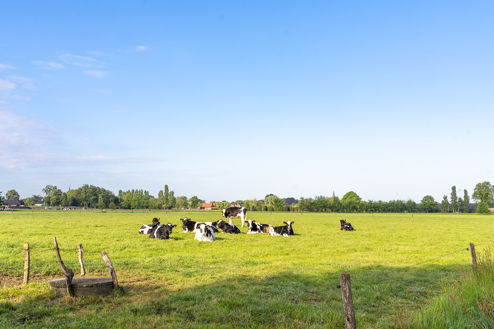 text-image-collection