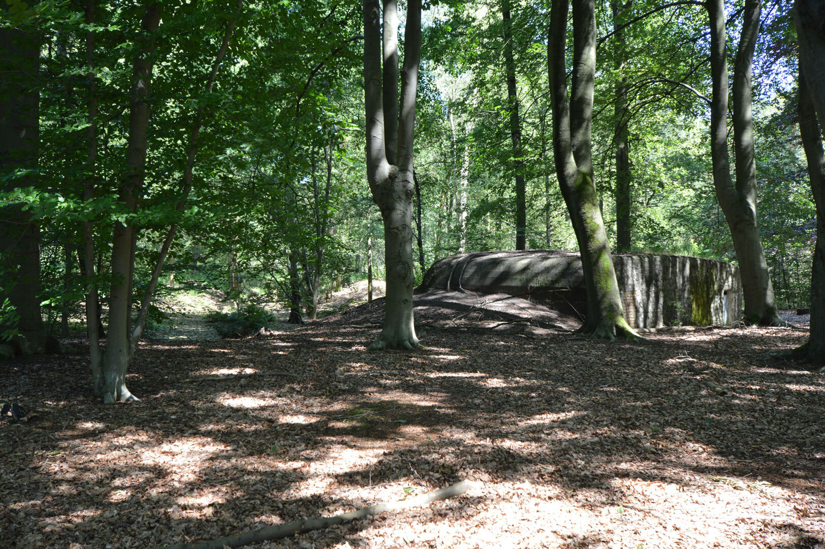 text-image-collection