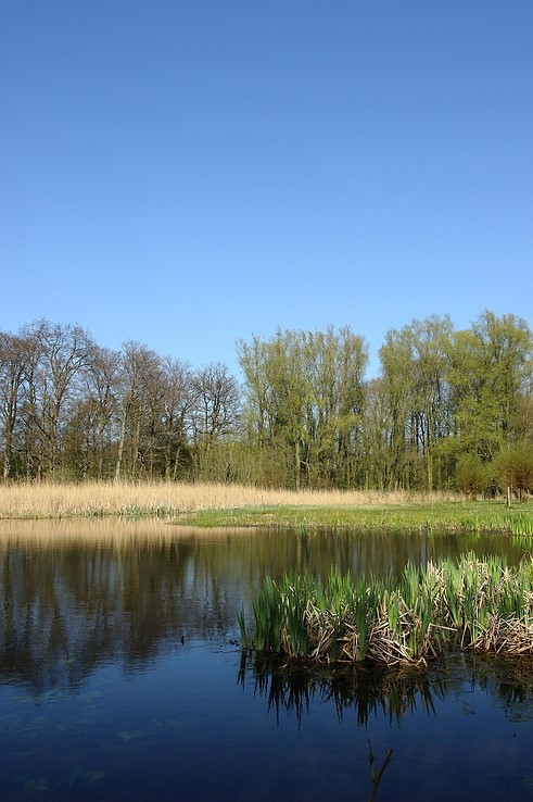 text-image-collection