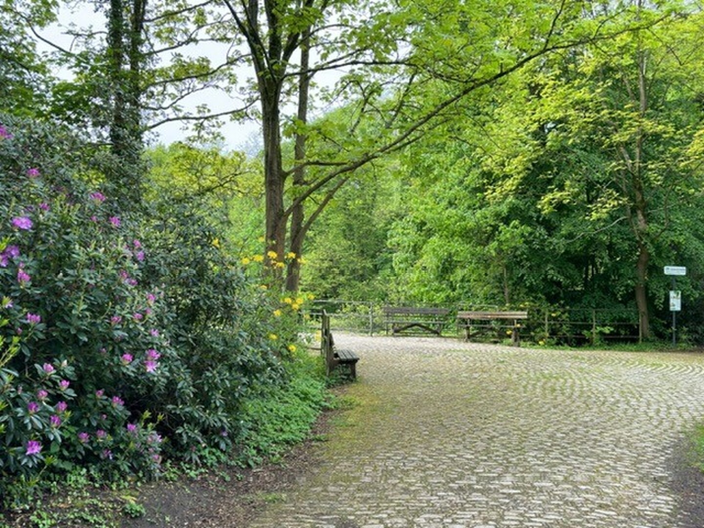 text-image-collection