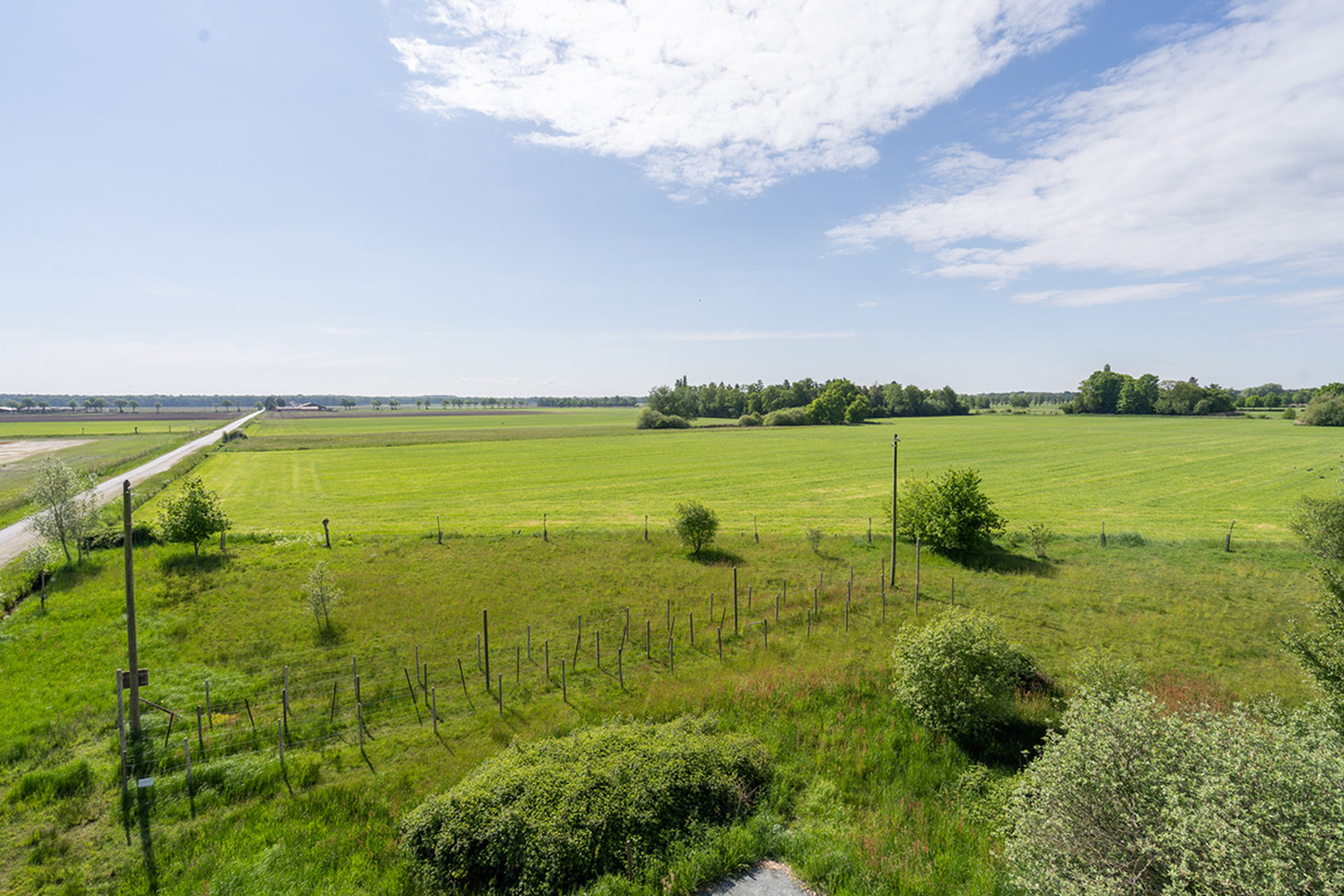 text-image-collection