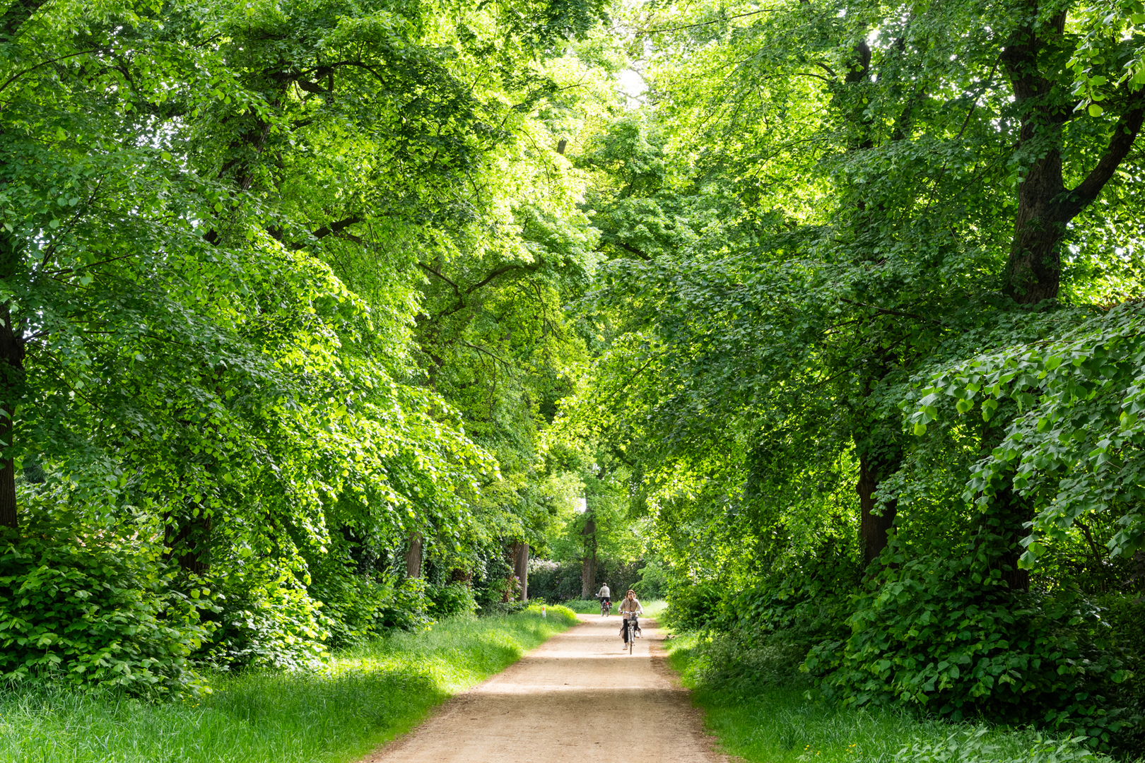 text-image-collection